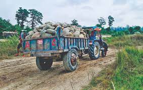 Paddy production declined in Chitwan