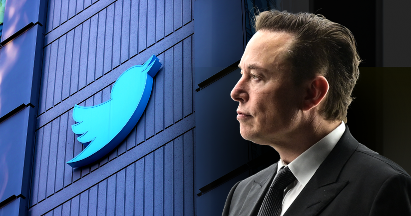The CEO of Twitter would be Elon Musk himself