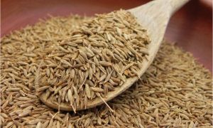 Artificial shortage of cumin in the market, reached 1500 per kg