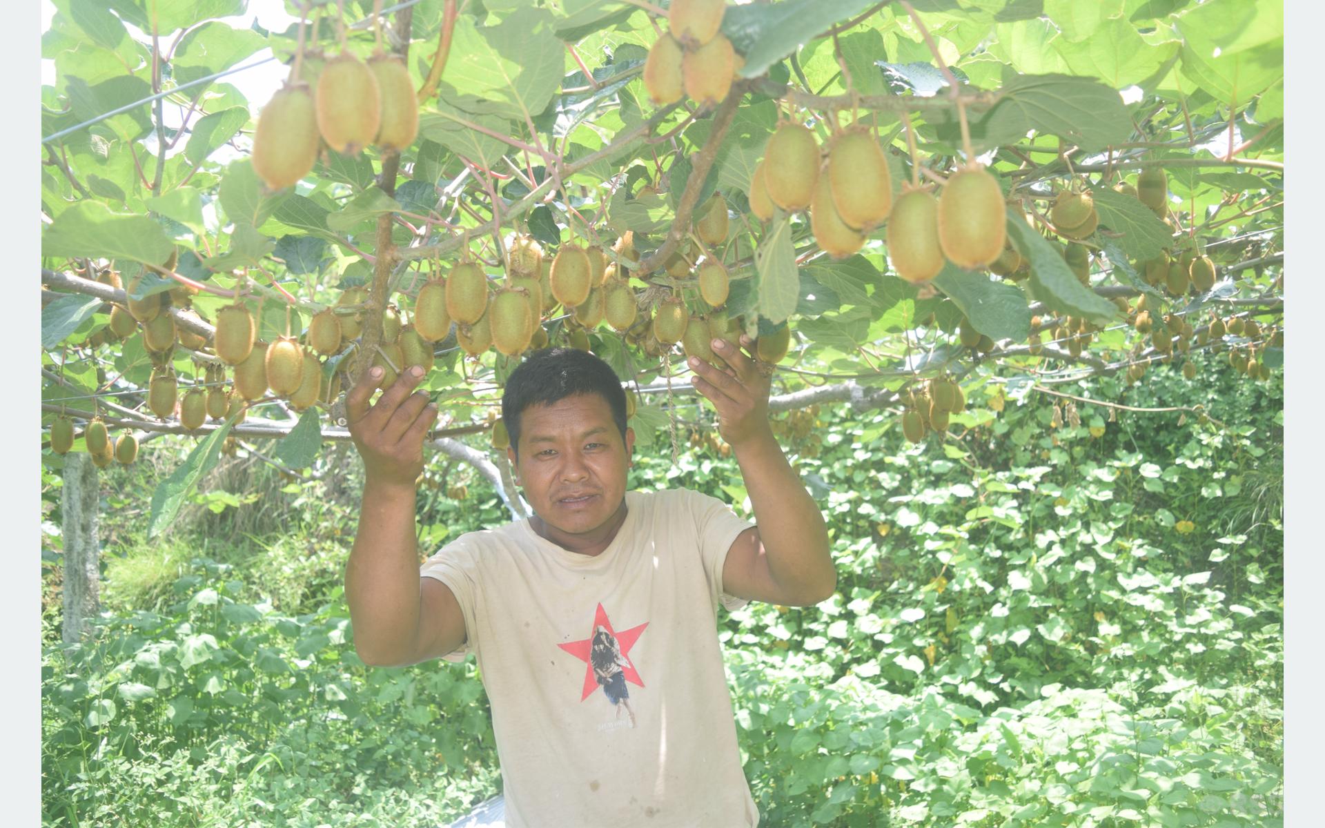 Youth building their future in villages through Kiwi farming