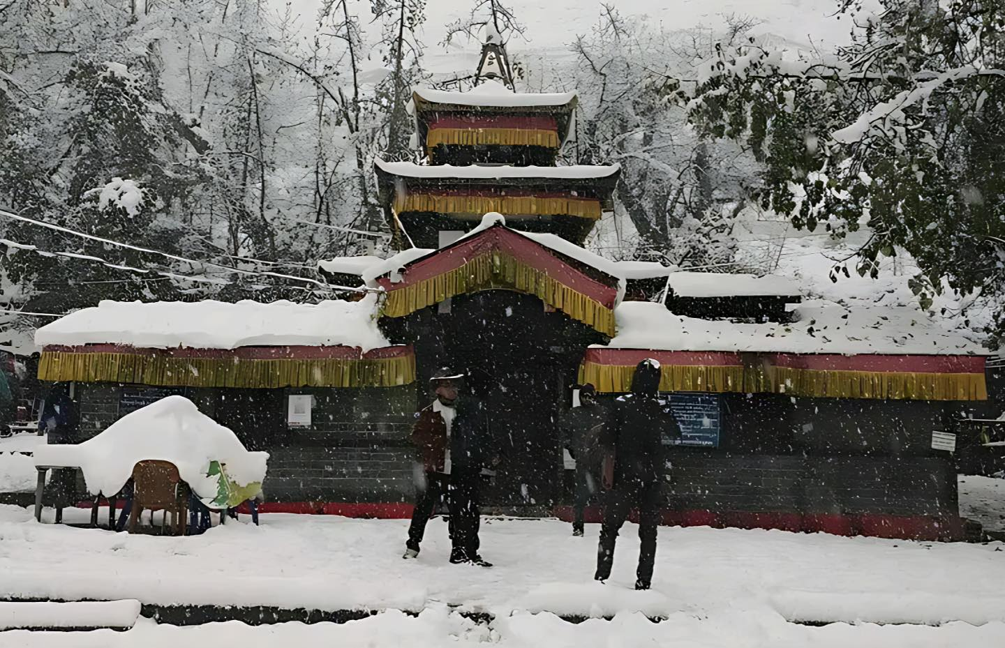 Heavy snowfall hits Mustang